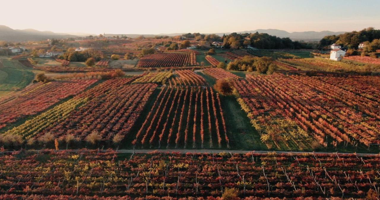 Tomaj Skerlj Wine Estate 게스트하우스 외부 사진