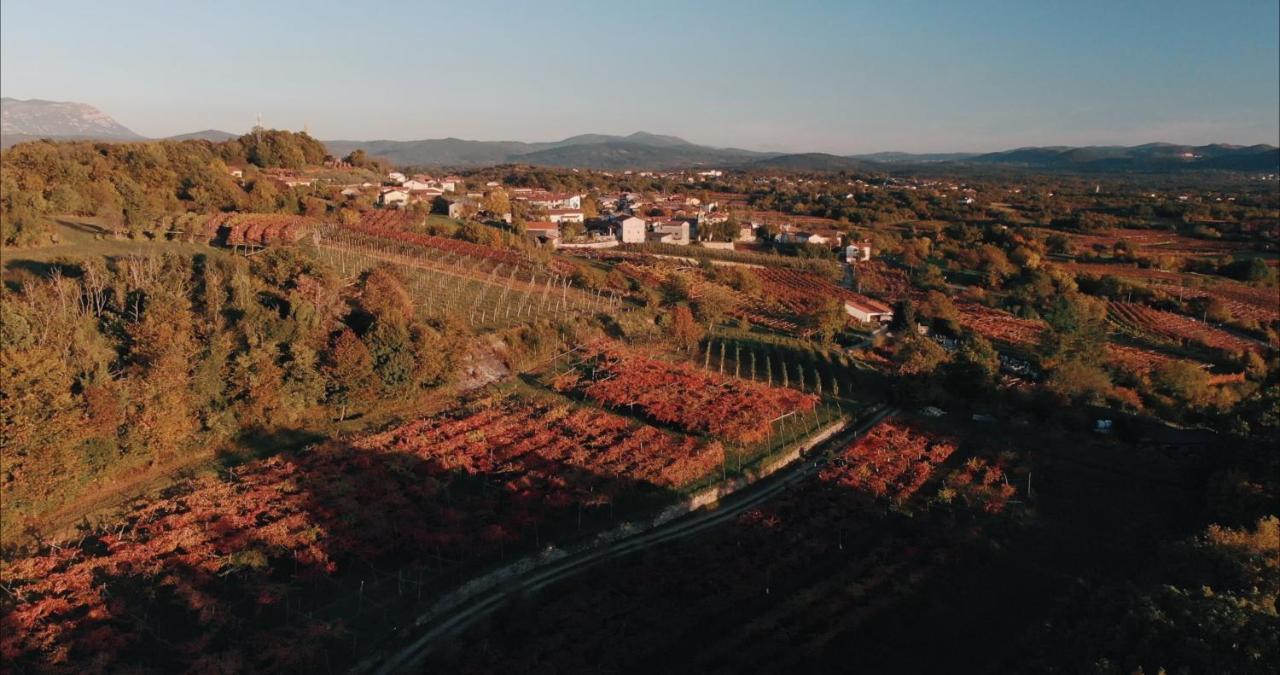 Tomaj Skerlj Wine Estate 게스트하우스 외부 사진