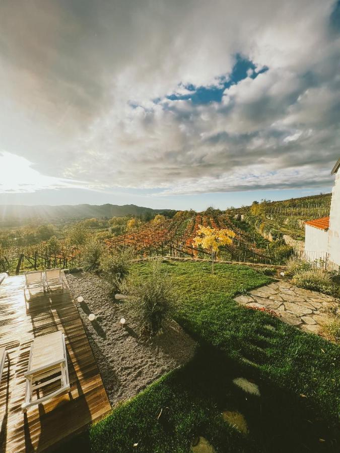 Tomaj Skerlj Wine Estate 게스트하우스 외부 사진