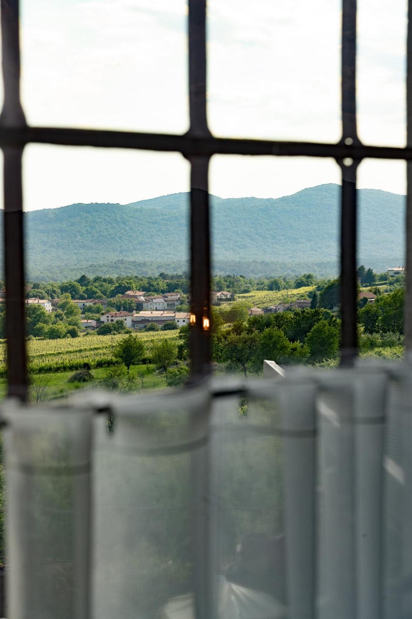 Tomaj Skerlj Wine Estate 게스트하우스 외부 사진